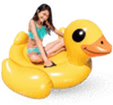 Sewa Medium Duck di Bali — SiapPergi