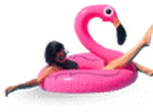 Sewa Medium Ring Flamingo di Bali — SiapPergi