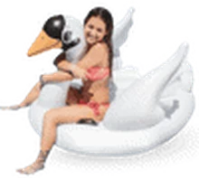 Sewa Medium White Swan di Bali — SiapPergi
