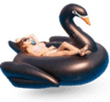 Sewa Mega Black Swan di Bali — SiapPergi