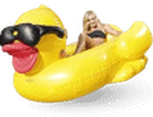 Sewa Mega Cool Duck di Bali — SiapPergi