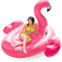 Sewa Mega Flamingo di Bali — SiapPergi