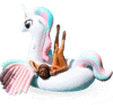 Sewa Mega Pony Pastel di Bali — SiapPergi