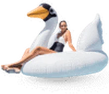 Sewa Mega White Swan di Bali — SiapPergi